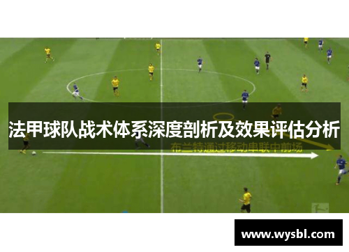 法甲球队战术体系深度剖析及效果评估分析