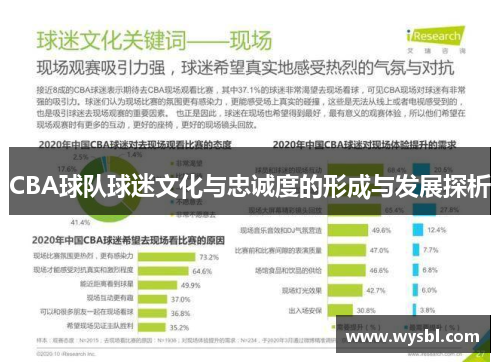 CBA球队球迷文化与忠诚度的形成与发展探析