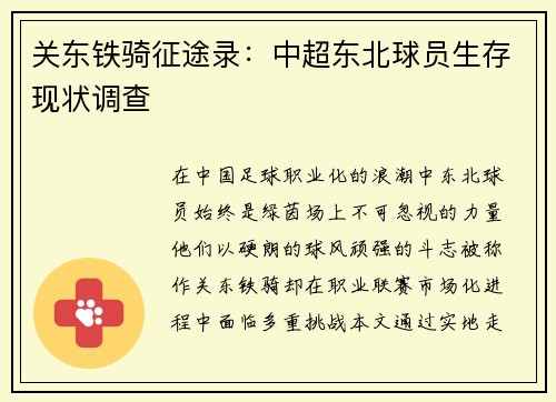 关东铁骑征途录：中超东北球员生存现状调查