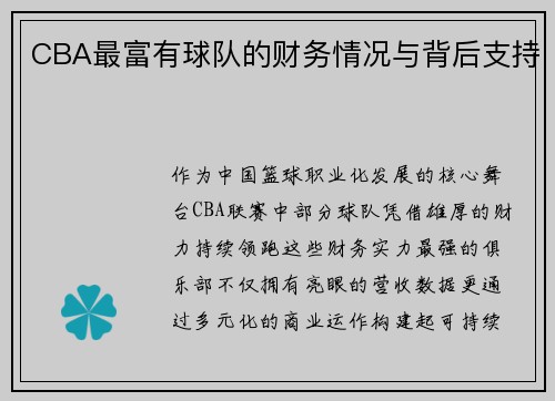 CBA最富有球队的财务情况与背后支持